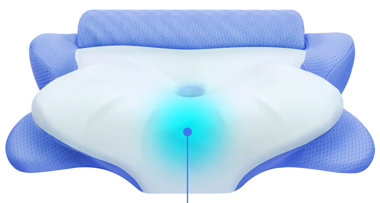 Melara Max Pillow limited offer